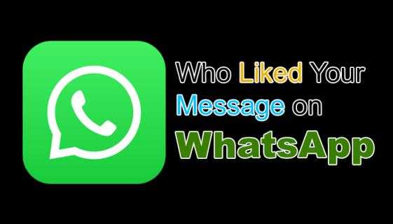 So wissen Sie, wer Ihre Nachricht auf WhatsApp mochte