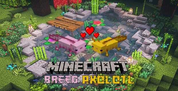 Hvordan avle Axolotl i Minecraft